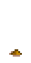 Тюльпан 1