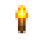 Torch