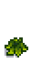 Клюква 3