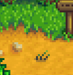 Спот семена моркови2.png (2 КБ)