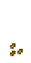 Помидор 1