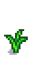 Чеснок 4