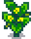 Сквош 5