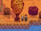 Fall