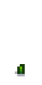 Тюльпан 2