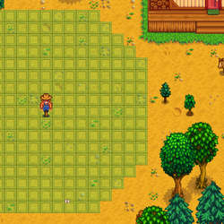 Carpenter's Shop - Stardew Valley Wiki