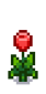 Тюльпан 5