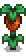 Sweet Gem Berry Stage 6