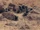 Crystal Crater