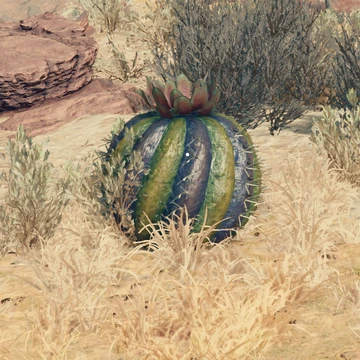 Sweetwater Cactus | Starfield Wiki | Fandom