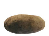 Potato