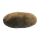 Potato