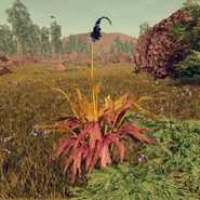 Enduring Bulgeweed on Serpentis IV