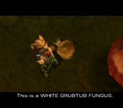 Fox collects a White GrubTub.