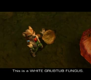 A White GrubTub Fungus.