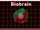 Biobrain.png