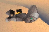 Grunner buried in the sands of Titania after being defeated