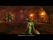 ThornTail Hollow Store.