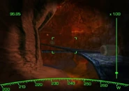 Fox examines rolling barrels from afar.