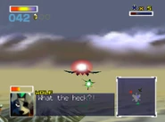 Wolf's reaction to a somersault.