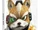 Star Fox Zero: DK/Prima's Official Strategy Guide