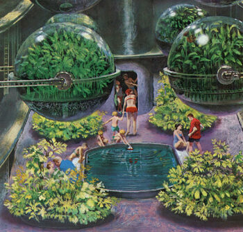 Hydroponics.jpg