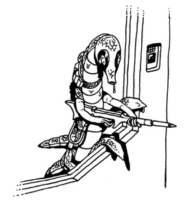 Sathar marine boarding an UPF vessel.