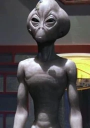 Лидер Ванир