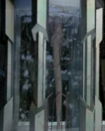 Lantash.jpg (42 KB) Lantash in a stasis chamber