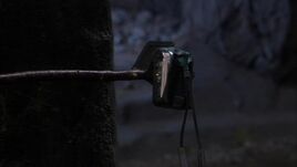 MALP on a stick