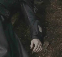 Wraith tracking system 1