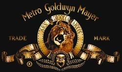 MGM Television Entertainment