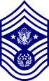 E9d USAF CMSAF new