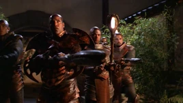 Jaffa 1 (Maternal Instinct)