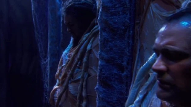 Cocoon