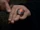Bague du chef spirituel