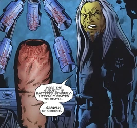 Wraith battering device