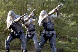 Soldats Wraith armés de fusils