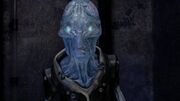 Everett Young's Nakai host