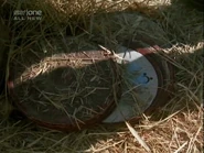 Diary Discs 1.png (322 KB)