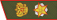 M-19marshal