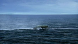 Grace Under Pressure