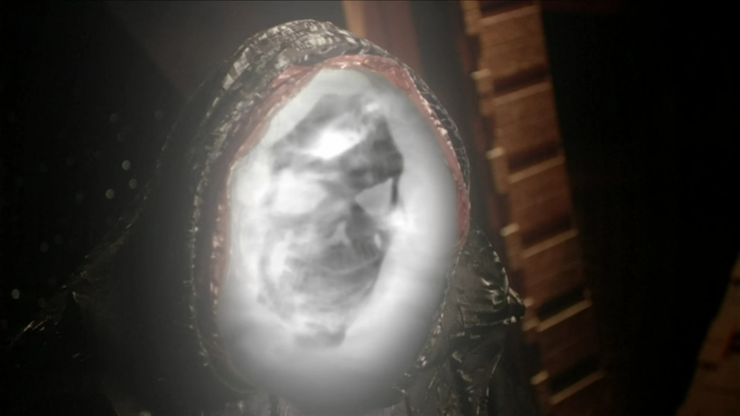 Anubis ascended