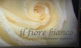 Il Fiore Bianco