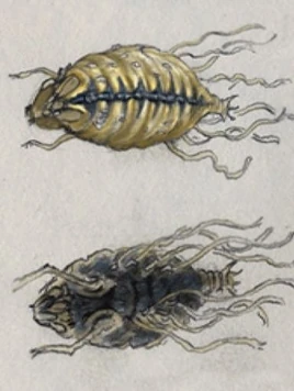 Sleep parasite concept