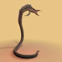 Goa'uld
