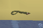 Snakes.png