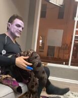 S2 BTS285.jpg (58 KB)