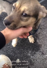 S2 BTS72.png (491 KB)