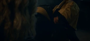 313 SC (94).jpg (41 KB)